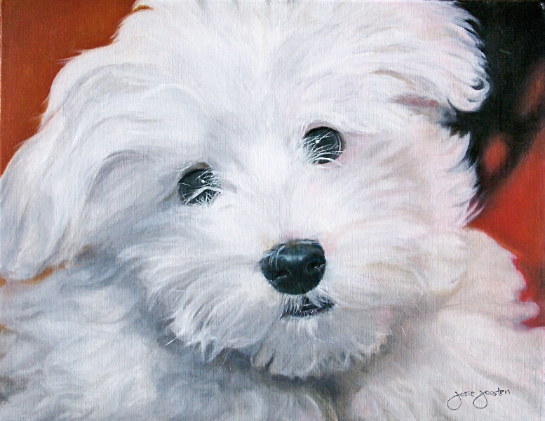 Maltese Oil Painting
